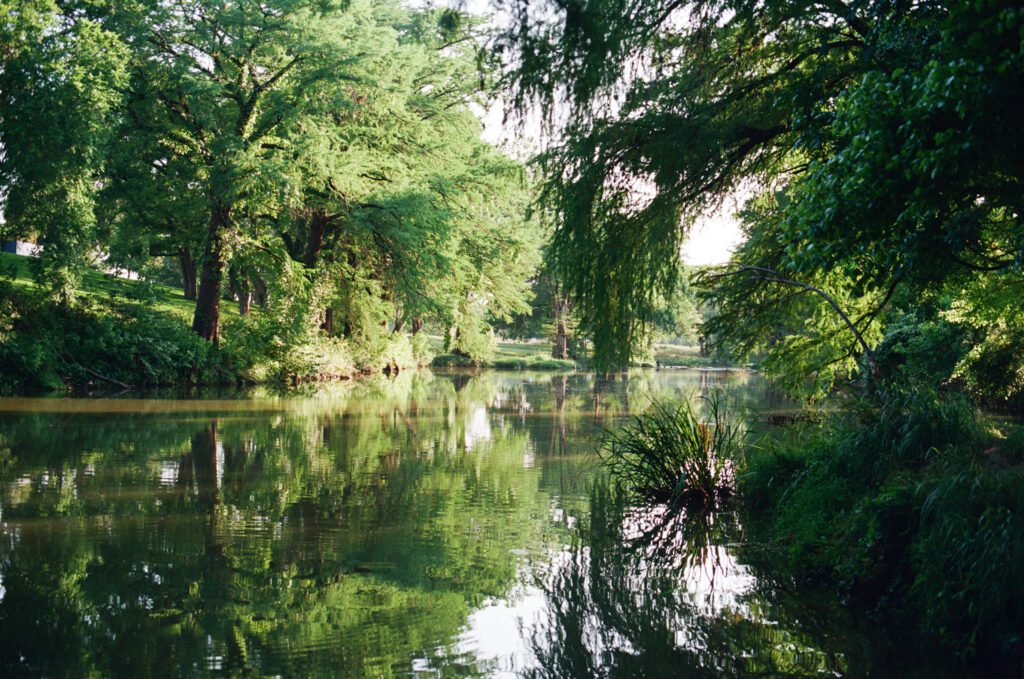 The lush Guadalupe River is a hidden gem where people tub and have fun in New Braunfels, TX