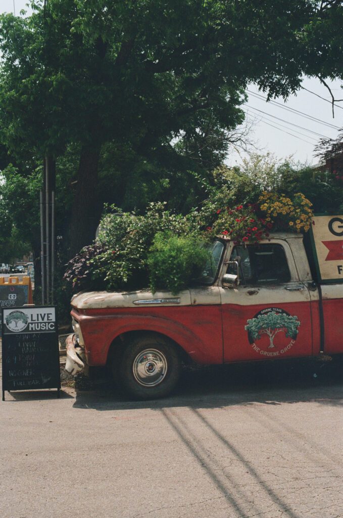 New Braunfels is filled with tons of live music and bars that are hidden gems and popular among locals, like the Gruene Grove. 
